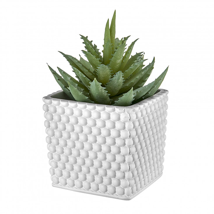 Bomboniera per vari eventi - Portacandela quadrato con piantina