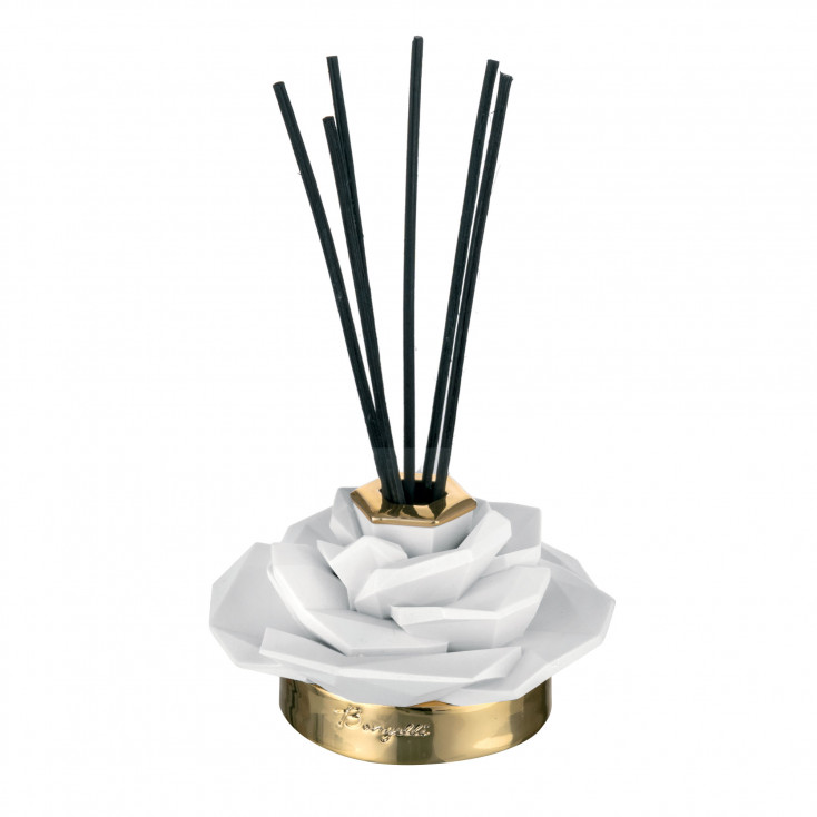 Bottiglia profumatore piccola dal design moderno con bastoncini