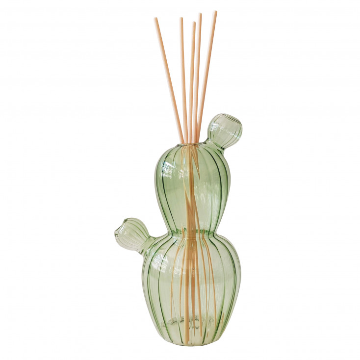 Bottiglia diffusore per fragranze a forma di cactus con bastoncini