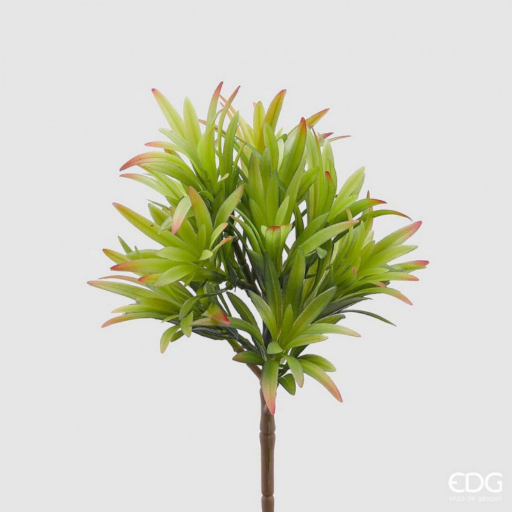 Pianta artificiale Crassulla Bell Pick