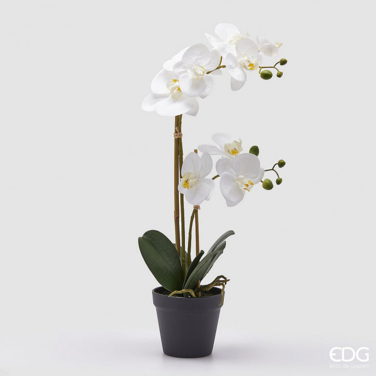 Pianta artificiale Orchidea con vaso