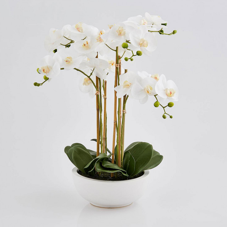 Pianta artificiale Orchidea con vaso grande moderno