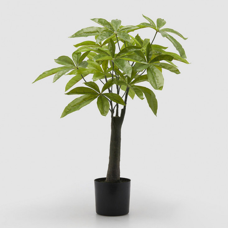 Pianta artificiale Pachira con vaso