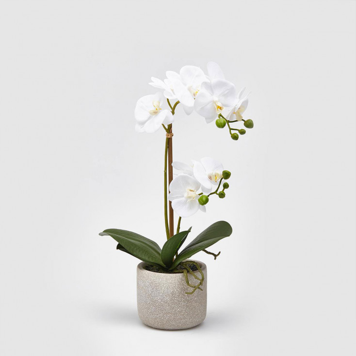 Pianta artificiale pianta di Orchidea con vaso rotondo