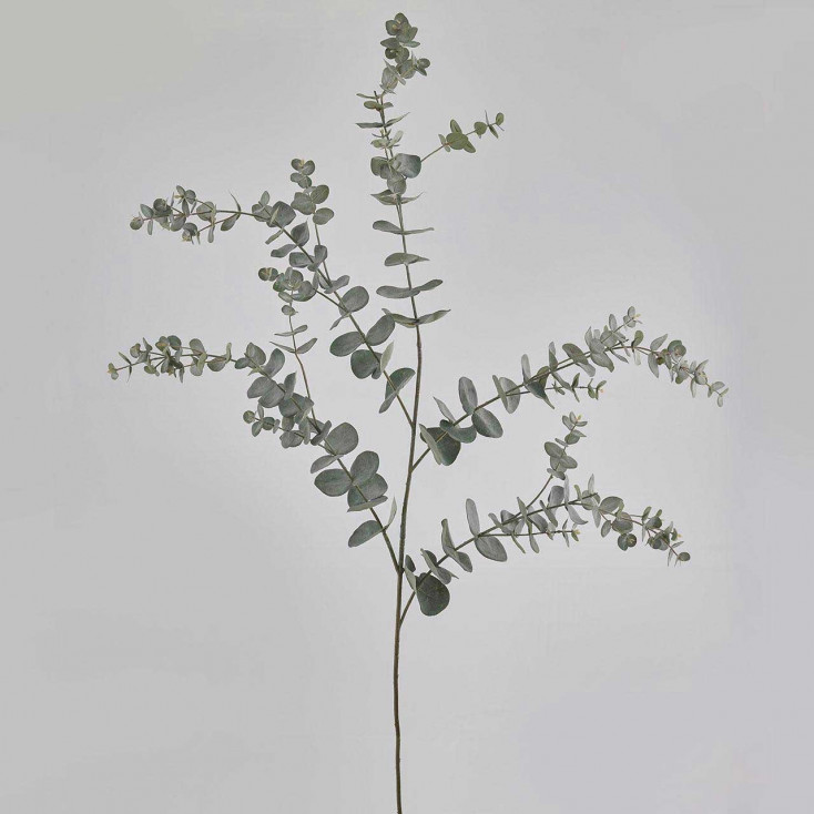 Pianta artificiale ramo di Eucalipto Rex