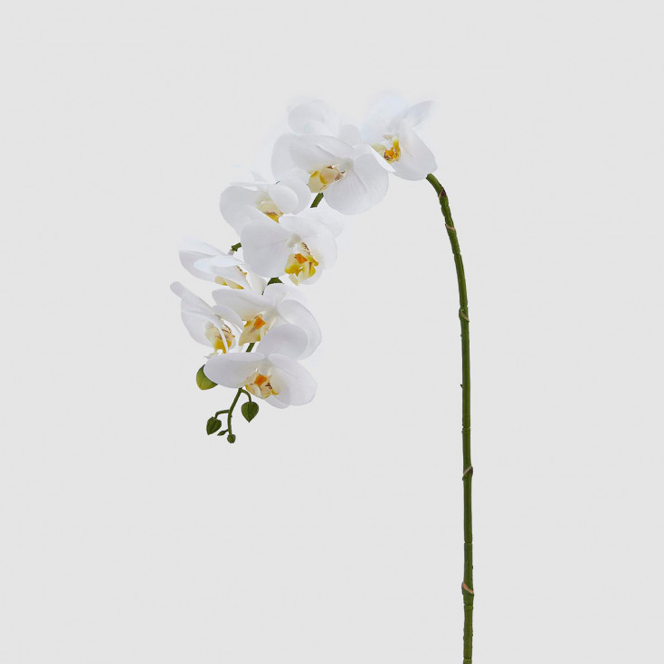 Pianta artificiale con il ramo di Orchidea