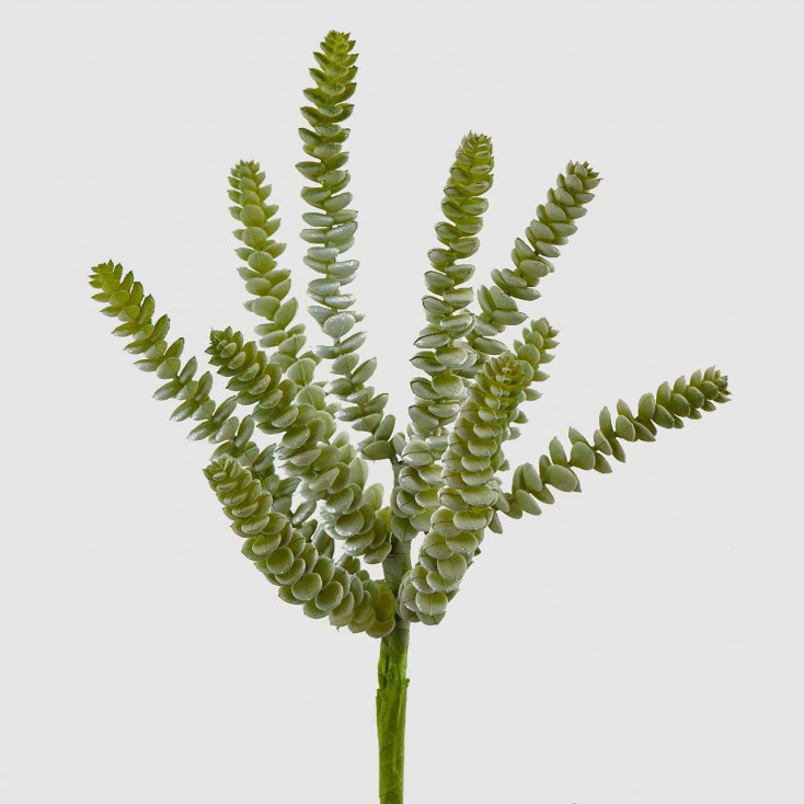 Pianta artificiale ramo di Succulent West Logan