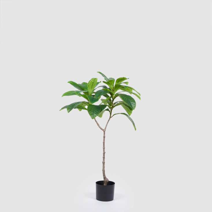 Piantina artificiale con alberello di Elaeocarpus Chic