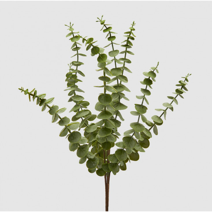 Piantina artificiale con ramo di Elaeocarpus Olis