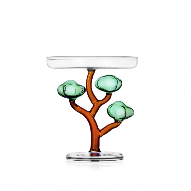 Alzata in vetro a forma di albero baobab