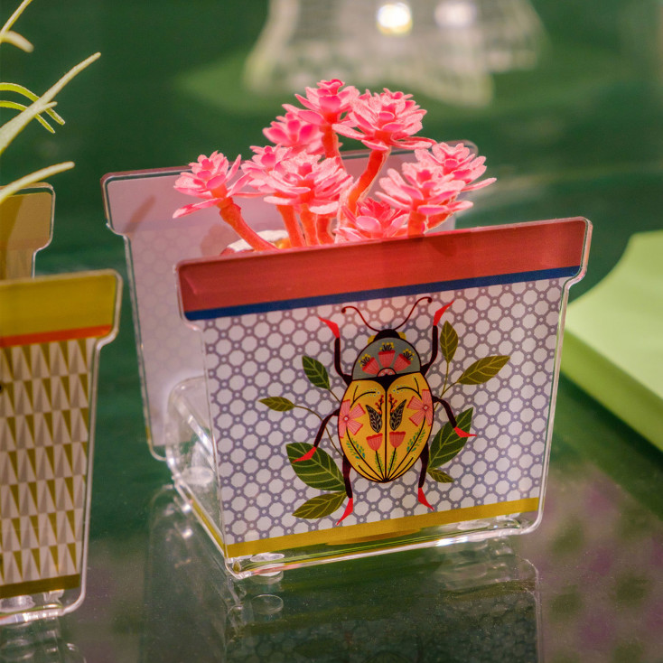 Portavaso piccolo in plexiglass di design moderno