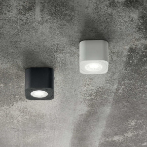 Fabas Luce - Modello: Palmi - Faretto da soffitto in metallo 1 luce a LED - Attacco Lampadina: Led Integrato - 1 Lampadina - Watt 6W - Lumen 540 - Dimmerabile: NO - Gradi Kelvin 3000k Luce Calda - Grado di Protezione: IP20 - Classe Energetica: F - SKU: 3429-71 