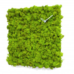 Progetti - Modello: Clock_Circle - - Design By: Studio Kuadra Orologio da parete in lichene naturale per interni piccolo - Colore: Verde - SKU: 021770 - Codice EAN: 8056746082468 