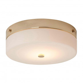 Elstead Lighting - Modello: Tamara - Plafoniera grande moderna per bagno in acciaio con diffusore in vetro opalino - Attacco Lampadina: GX53 - 1 Lampadina - Watt 9W - Dimmerabile: NO - Grado di Protezione: IP44 - Classe Energetica: A - SKU: TAMAR-F-L 