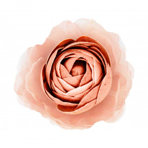 Mami Milano - Modello: Giardino delle fragranze - Diffusore per ambiente a forma di fiore medio "Rose in Fiore" - Colore: Rosa - SKU: GI-FIO2.04 - Codice EAN: 8057143586993 