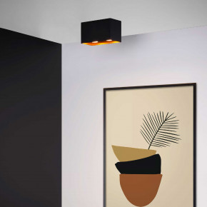 Lucide - Modello: Bido - Faretto da soffitto con struttura in alluminio moderna e doppio diffusore - Attacco Lampadina: GU10 - 2 Lampadine - Watt 50W - Dimmerabile: SI - Grado di Protezione: 20 - SKU: 22966/02/