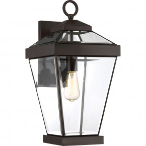 Quoizel - Modello: Ravine - Lanterna da parete grande in acciaio da esterno con diffusore in vetro a 1 luce - Colore: Bronzo - Attacco Lampadina: E27 - 1 Lampadina - Watt 60W - Dimmerabile: NO - Grado di Protezione: IP44 - Classe Energetica: A - SKU: QZ-RAVINE2-L - Codice EAN: 5024005345411