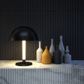 Maytoni - Modello: Ray - Lampada da tavolo a LED con struttura dalle linee moderne e diffusore in metallo - Colore: Nero - Attacco Lampadina: Led Integrato - 1 Lampadina - Watt 8W - Lumen 750 - Dimmerabile: NO - Gradi Kelvin 3000k Luce Calda - Grado di Protezione: IP20 - Classe Energetica: G - SKU: Z012TL-L8B3K - Codice EAN: 4251110034430 