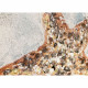 Set 2pz dipinto a mano per cucina con tema marino "Seafloor" 30x30