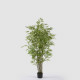 Pianta artificiale Bamboo con vaso