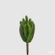 Pianta artificiale Cactus Bell Pick