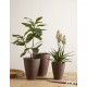Pianta artificiale con ficus chic con vaso