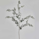 Pianta artificiale ramo di Eucalipto Rex