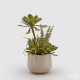 Pianta artificiale Succulent Mix con vaso