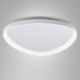 Plafoniera a LED in metallo con diffusore grande in metacrilato