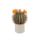 Pianta artificale con vaso grande cactus fiori arancioni