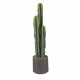 Pianta decorativa realistica da interno cactus artificiale in vaso grigio