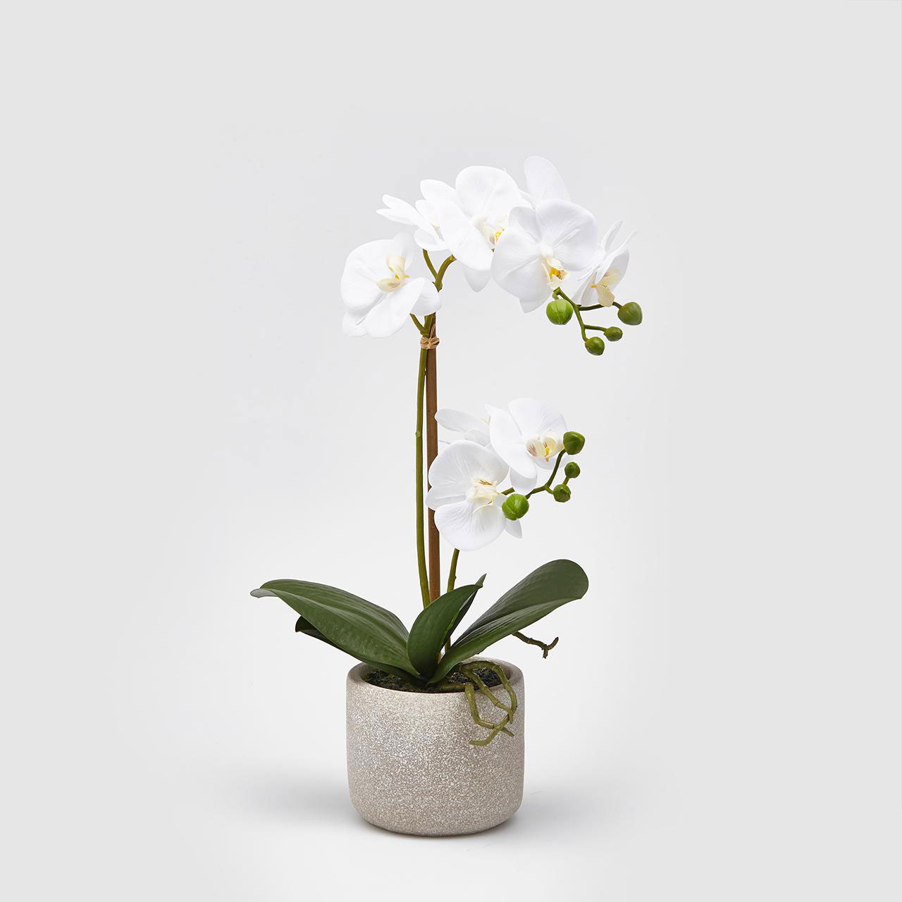 Orchidea Artificiale Bianca In Vaso Ceramica Nera - Pianta Finta Realistica H56 Cm Per Casa E Ufficio